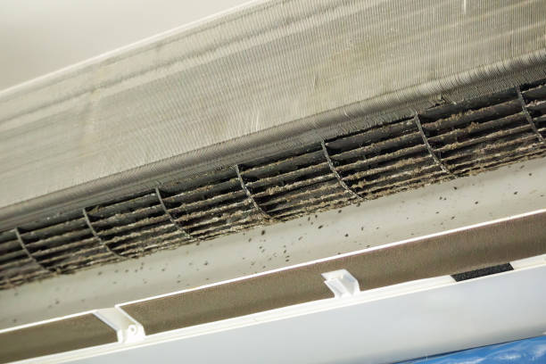 Best Ventilation Cleaning Services  in North Miami, FL